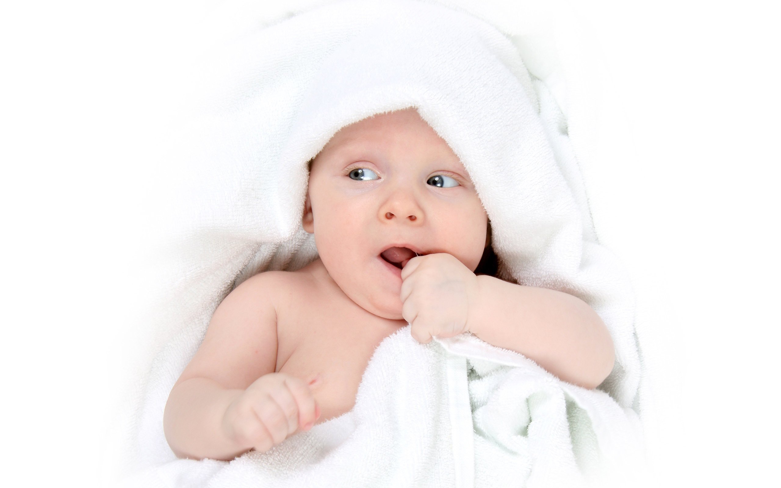 惠州捐卵代怀人工受精移植的成功率